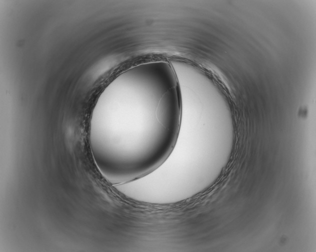 X0000095111064200712070914