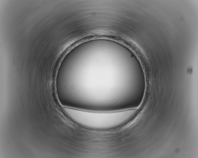 X0000095111065200712070914