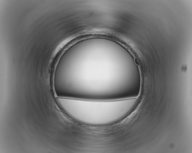 X0000095111066200712070914