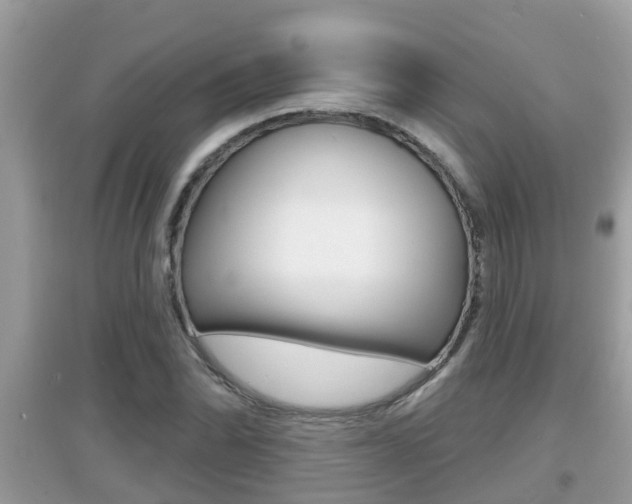 X0000095111070200712070914