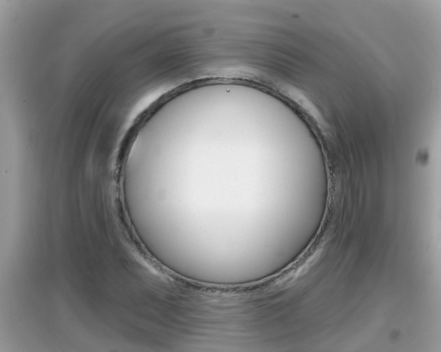 X0000095111071200712070914