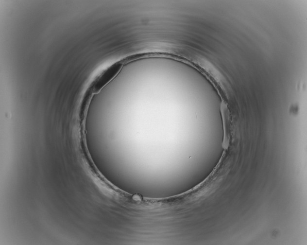 X0000095111072200712070914