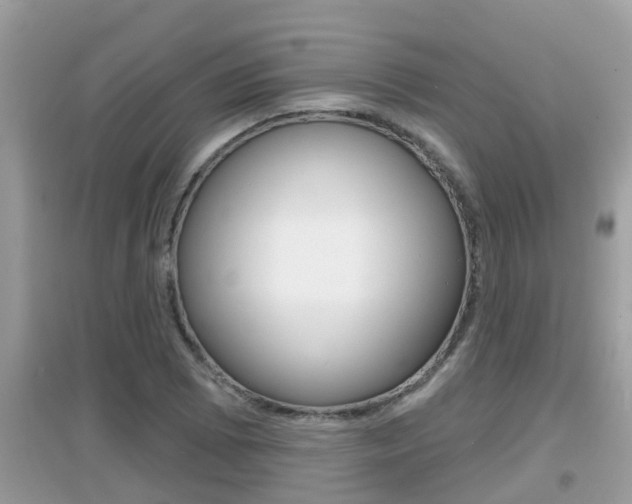 X0000095111073200712070914