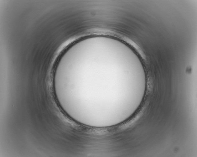 X0000095111074200712070914