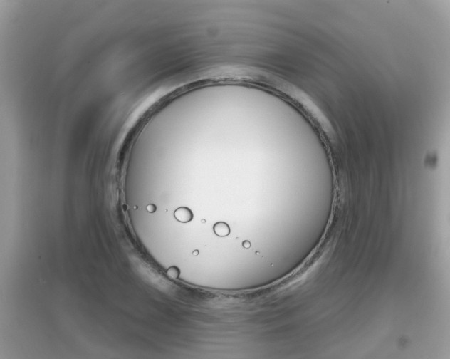X0000095111075200712070914
