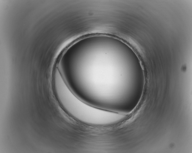 X0000095111077200712070914