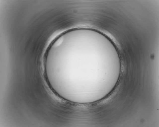 X0000095111078200712070914