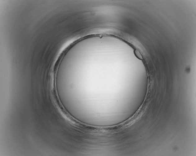 X0000095111079200712070914