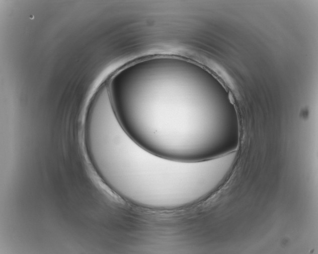 X0000095111080200712070914