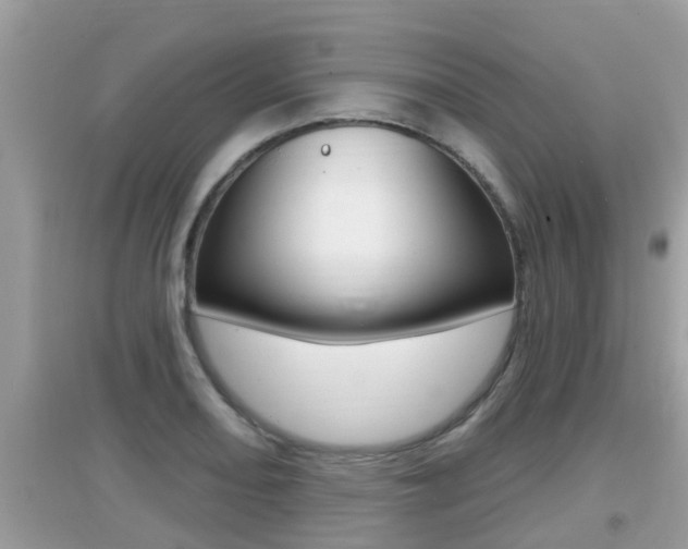 X0000095111082200712070914
