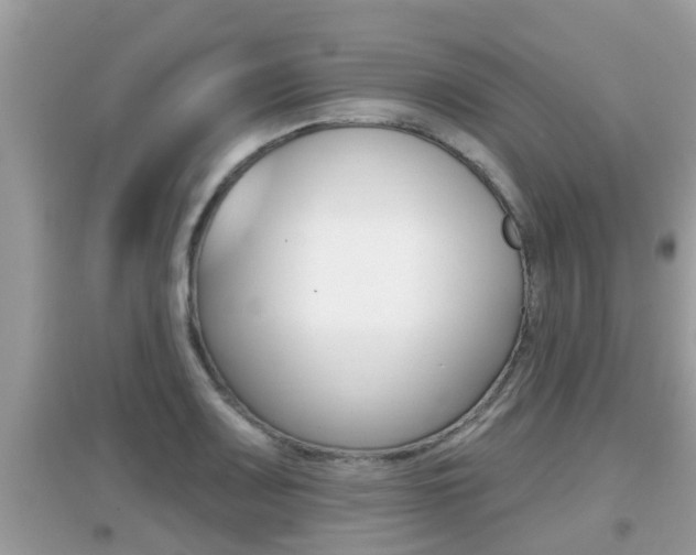 X0000095111083200712070914