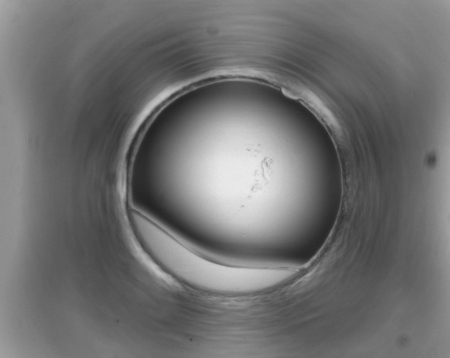 X0000095111084200712070914