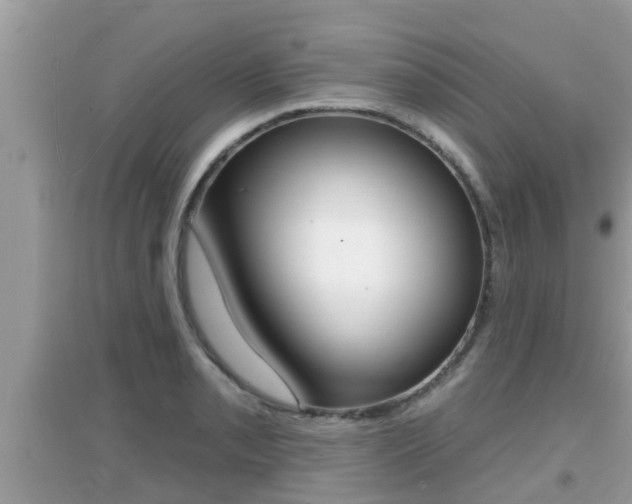 X0000095111085200712070914