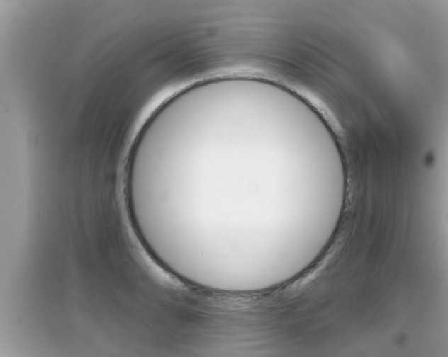 X0000095111086200712070913