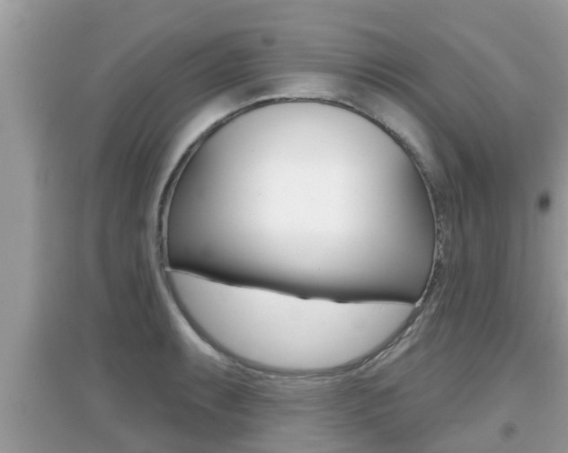 X0000095111087200712070913
