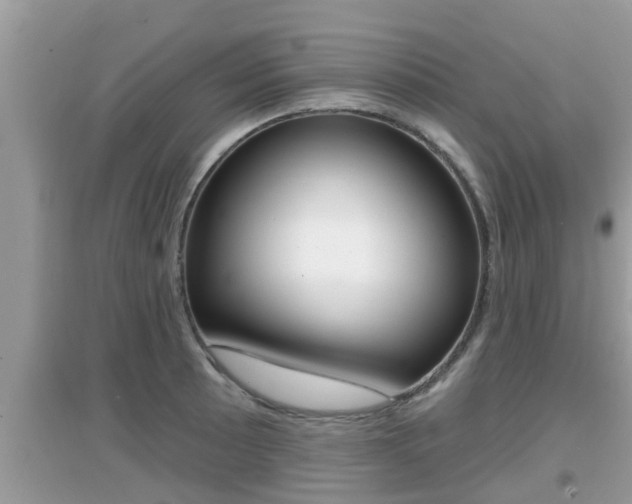 X0000095111089200712070913