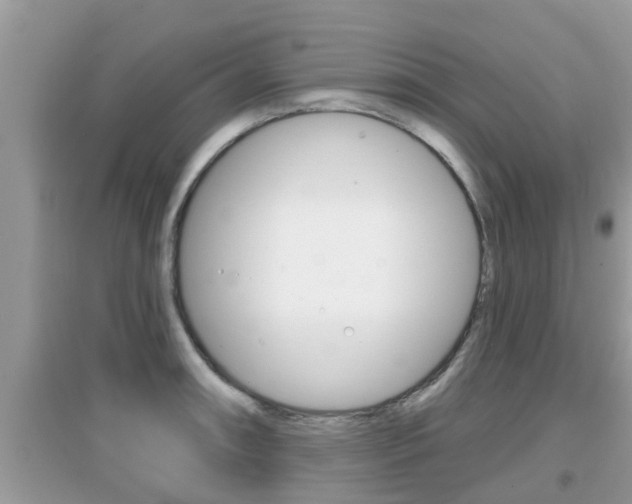 X0000095111090200712070913