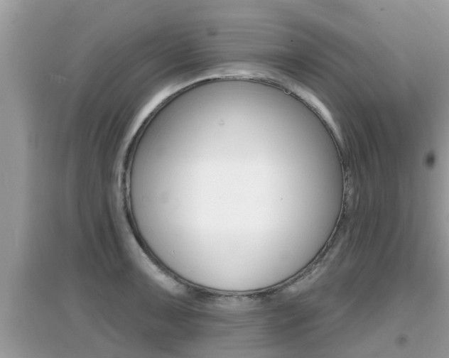 X0000095111091200712070913