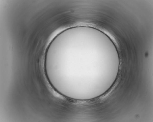 X0000095111094200712070913