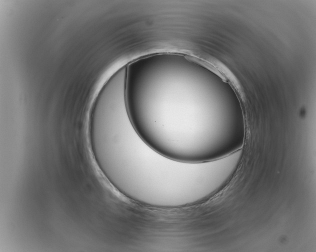 X0000095111096200712070913