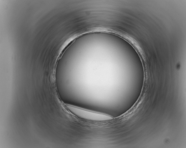 X0000095111097200712070913