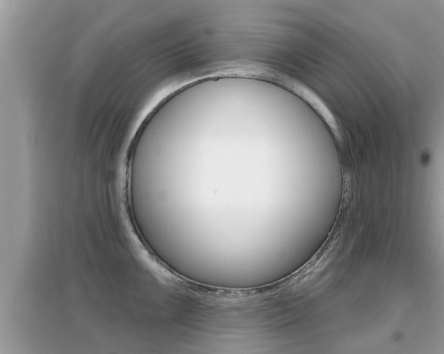 X0000095111099200712070913