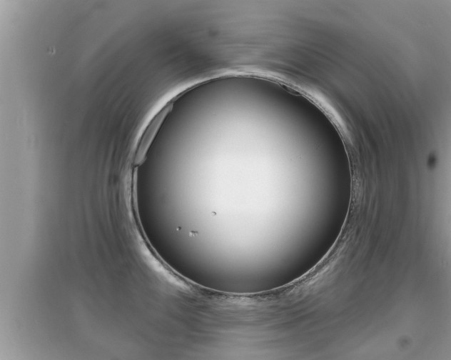 X0000095111100200712070913