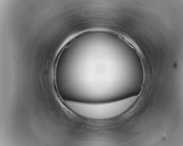 X0000095111101200712070913
