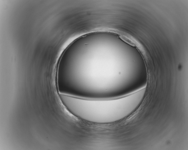 X0000095111102200712070913
