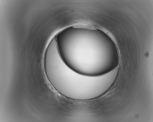 X0000095111104200712070913