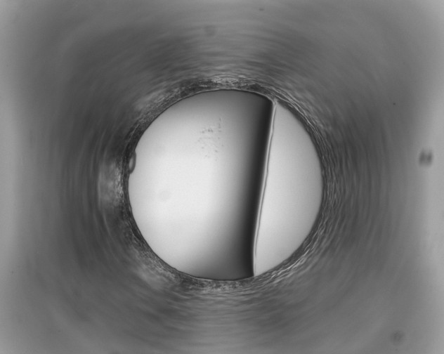 X0000095111106200712070912