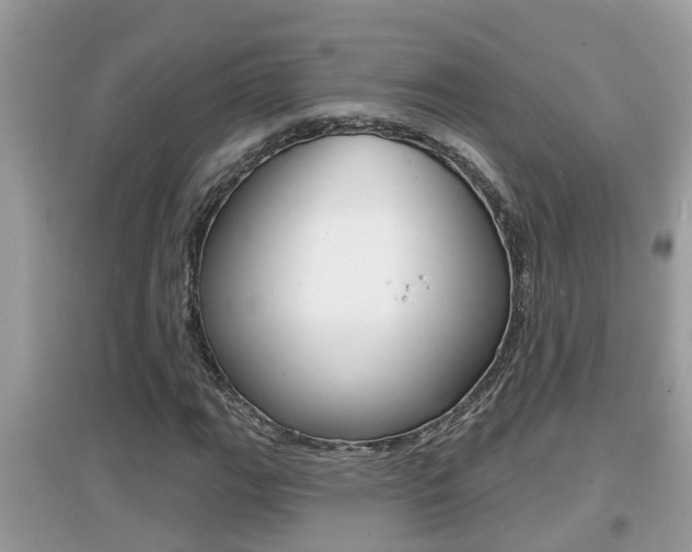 X0000095111111200712070913