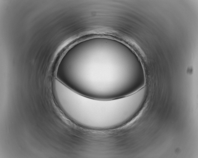 X0000095111114200712070913