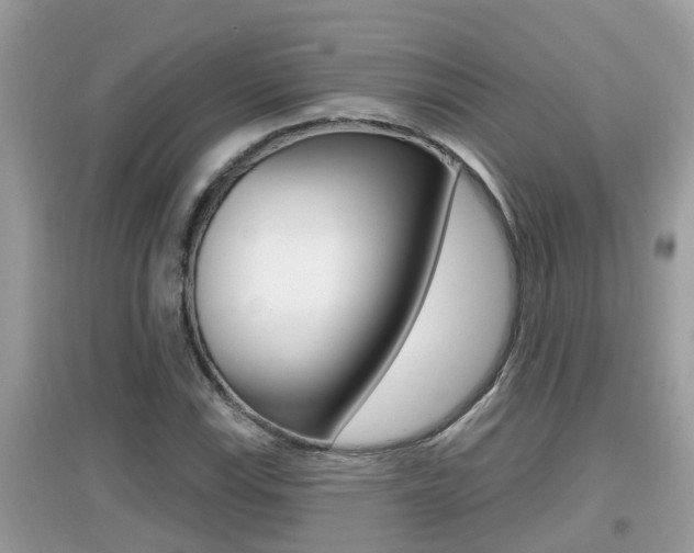 X0000095111115200712070913