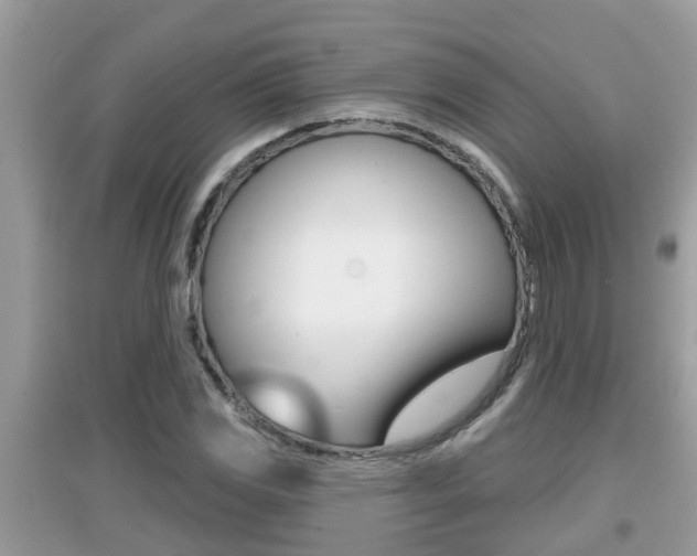 X0000095111117200712070913