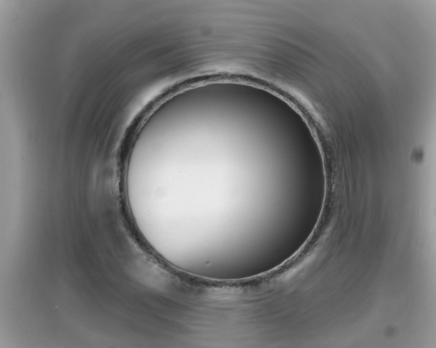 X0000095111118200712070913