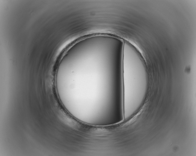 X0000095111119200712070913