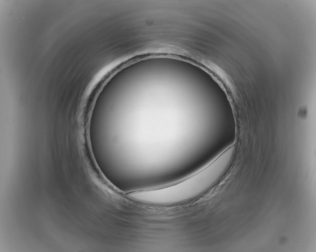 X0000095111120200712070913