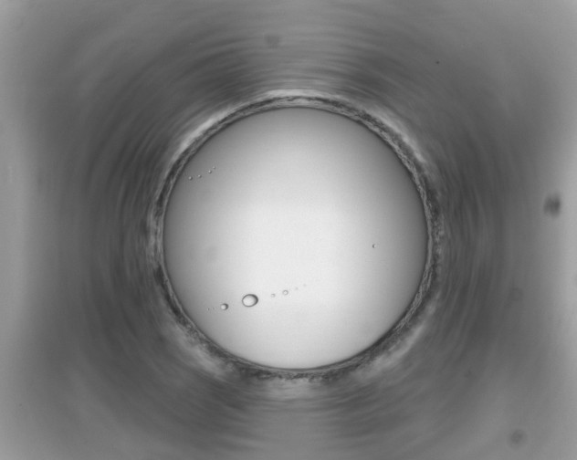 X0000095111121200712070913