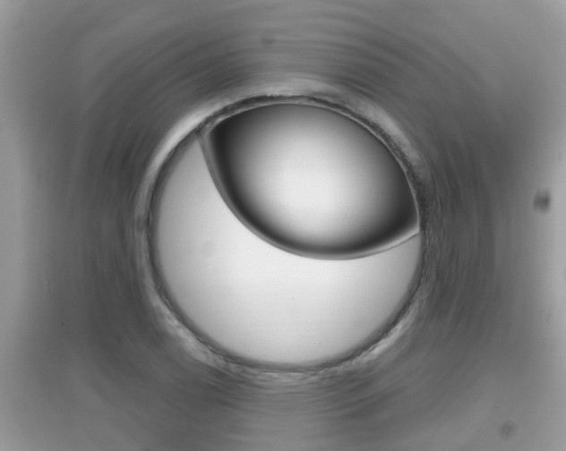 X0000095111122200712070913