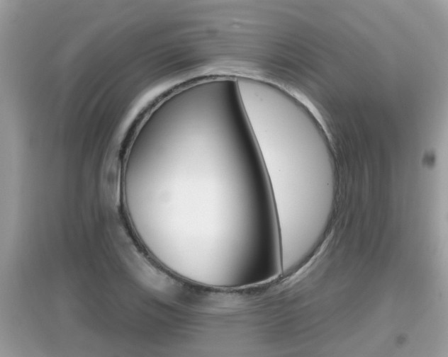 X0000095111123200712070913