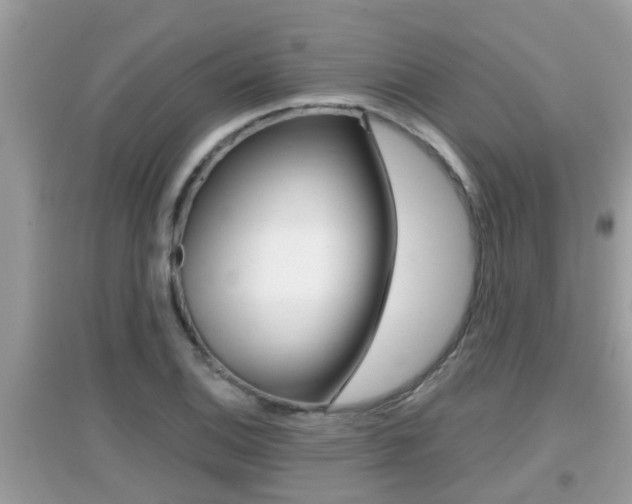 X0000095111124200712070913
