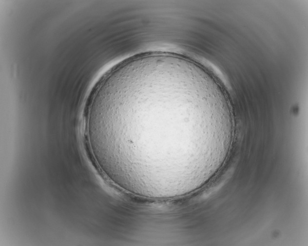 X0000095111125200712070913