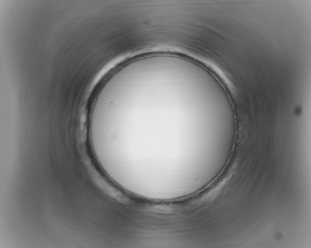 X0000095111126200712070913