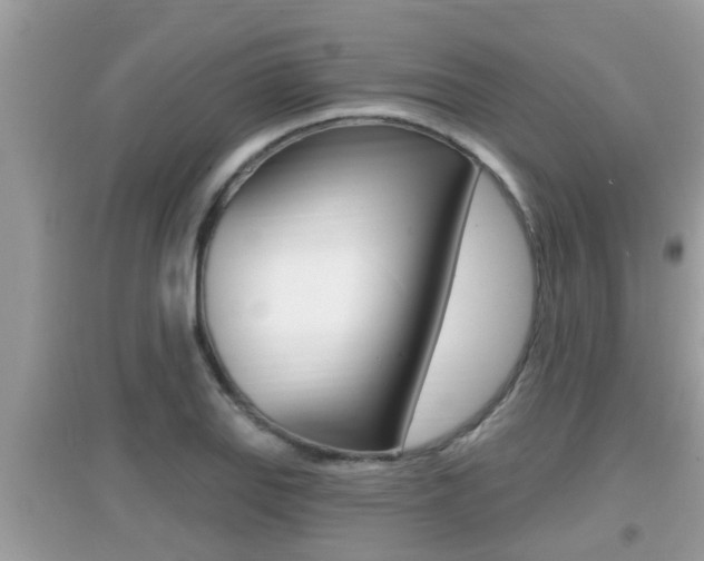 X0000095111127200712070913