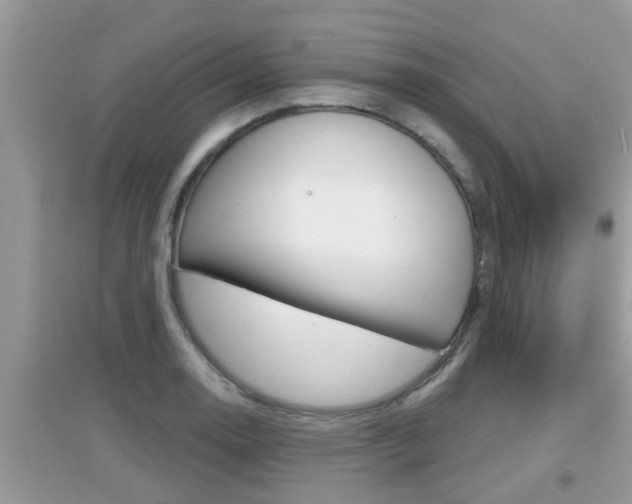 X0000095111130200712070913