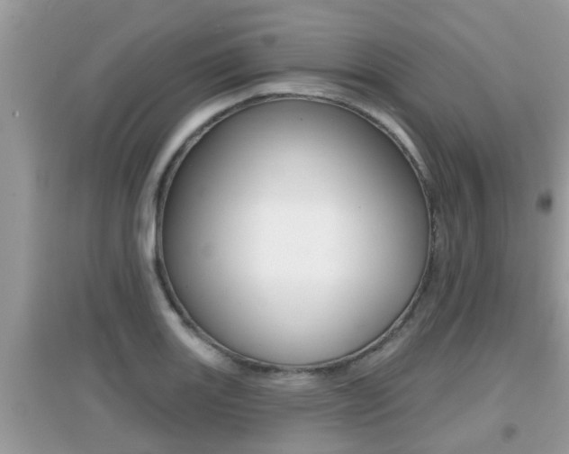 X0000095111131200712070913