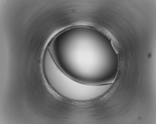 X0000095111132200712070913