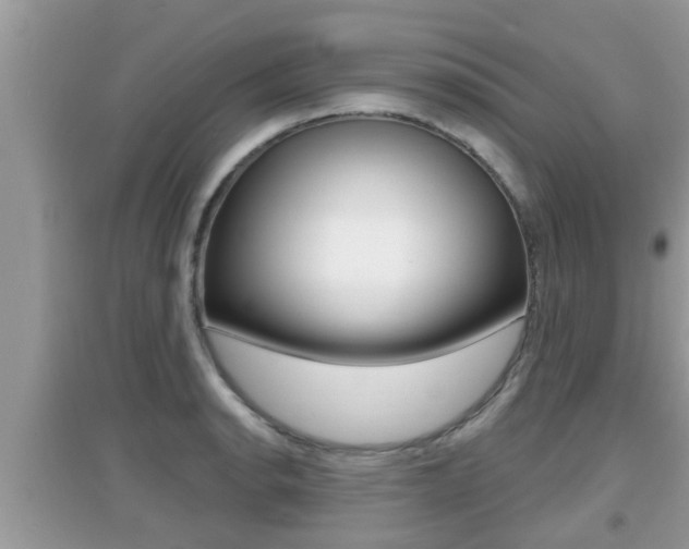X0000095111134200712070913