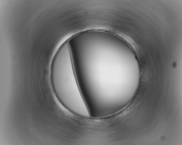 X0000095111135200712070913